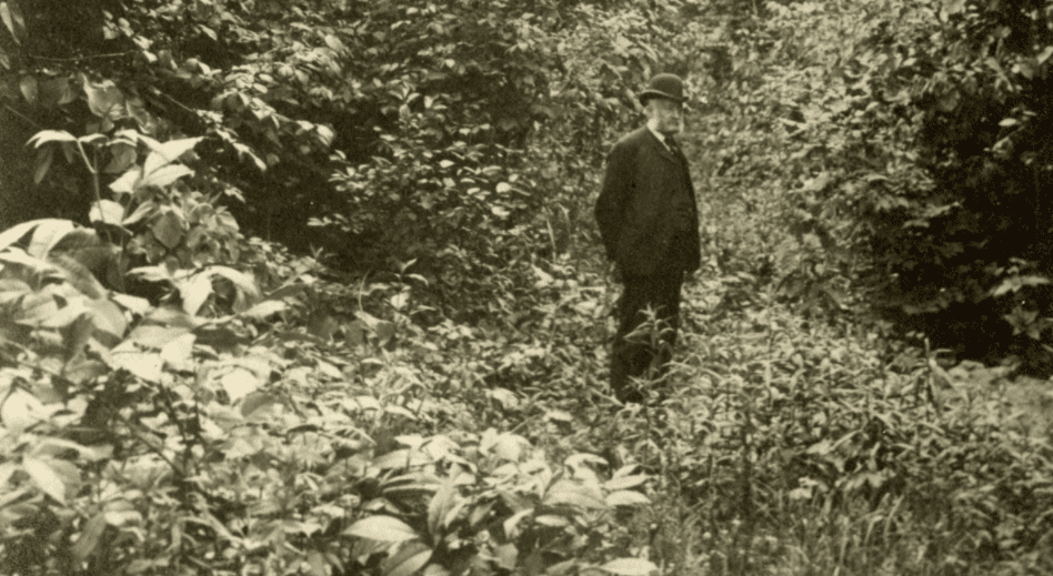 Screen Shot 2021-08-19 at 2.29.11 PM