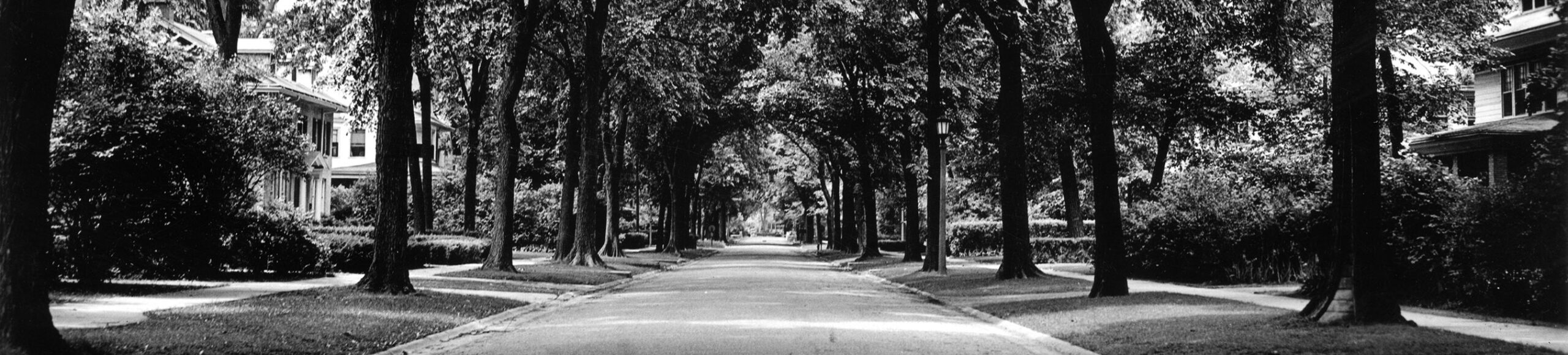 Abbotsford-Road-Streetscape-2D-scaled